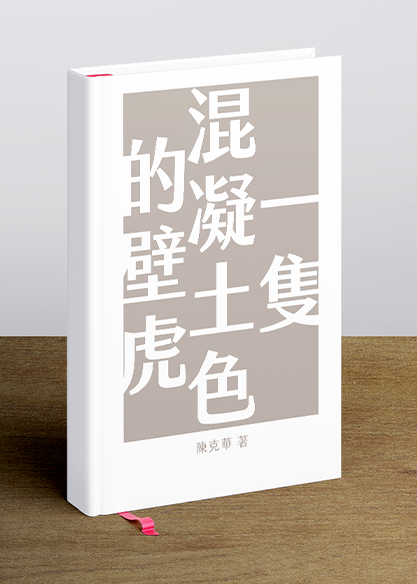一隻混凝土色的壁虎